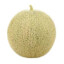 MELON