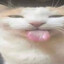 bleh