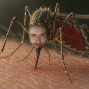 Komaraczyk
