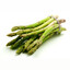 Asparagus