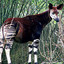 Henri L&#039;Okapi