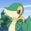 snivy