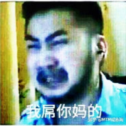 电脑玩家维塔利