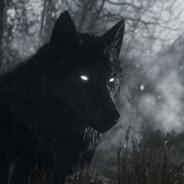 fenox - steam id 76561198977416899