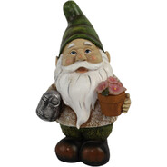 Little Gnome