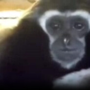 ☪♀ 乙∀ḼŨ尸Ĩᶍ - steam id 76561198192745930