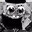 JIHADBOB