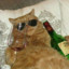 DrunkenCat