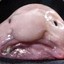 Blopfisch