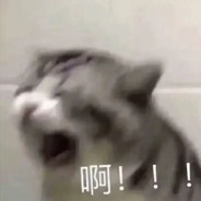 别骂了在练了qwq