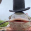Catphish Von Lakenheimer XIII