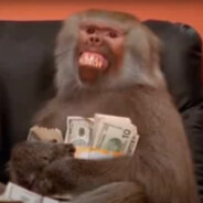 Максим Сергеич