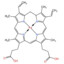 Protohaem