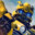 Bumblebee