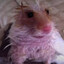 Glub Tuppas Wepple