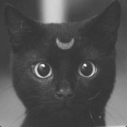 Darth Ardalan - steam id 76561197961402425