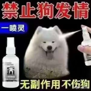 z m d x wi n