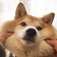 Кисло-Горький