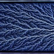 Magebane | kickback.com