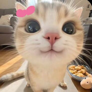 𝔬𝔟𝟹𝔧𝟽𝔴𝔞☂