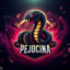 Pejocina