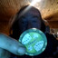 $500,000 Poker Chip avatar