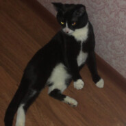 Ненормальный адекват