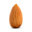 Erotic Almond