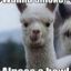 AgnosticAlpaca