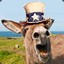 pResident Donkey