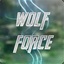 KGServer wolfforce