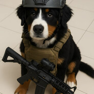 PersianBackwarWalking