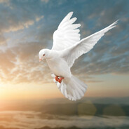 Be True - steam id 76561198193124995