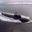 SubmarinoNuclear