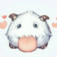 poro