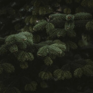 M4ZG4N - steam id 76561198868000709