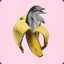 Dolphin Banana