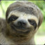 Rewe-