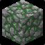 mossy cobblestone