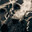 Nxva_XV