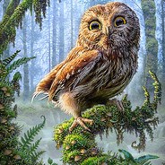 BigUsDicUS