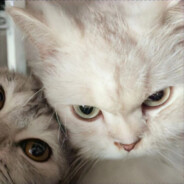 你们先跑我有医保