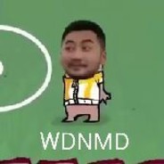 晚风挽你如挽风