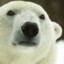 Gary