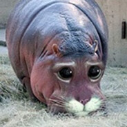 礼堂第一突破手顶针