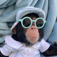 阳光彩虹小白马