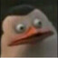 CockLicker