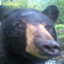 bear in mind