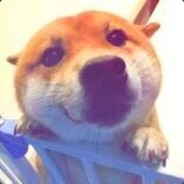 超级无敌谢鸡鸡