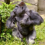 DaPlunge - steam id 76561197964363887